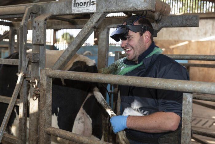 Pregnancy Diagnosis and Herd Fertility